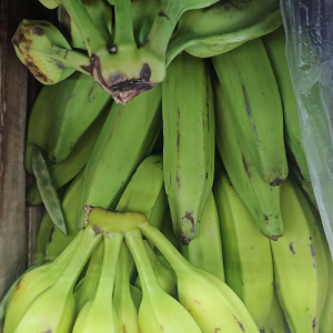 Green plantain