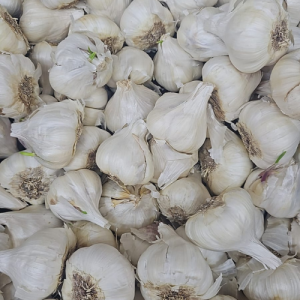 Loose garlic