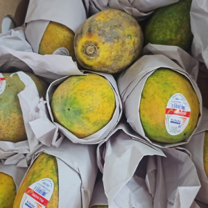 Ripe red papaya 
