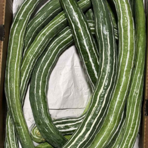 SNAKE GOURD 30 LB