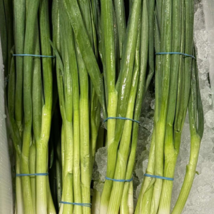 green onions 48 ct