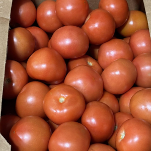 tomato round 20-25lb